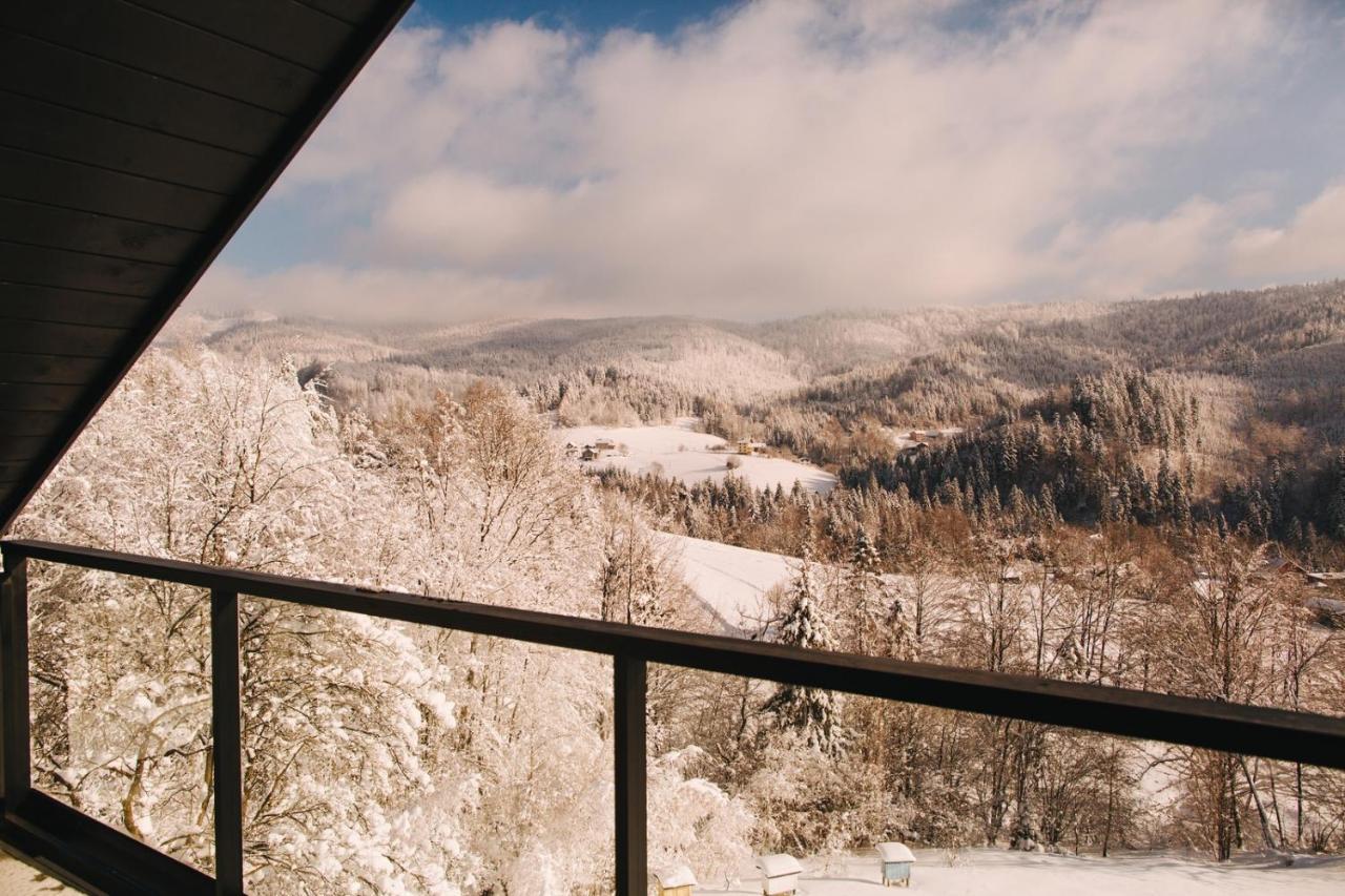 Apartamenty 'Okno Z Widokiem' Wisla Exterior photo